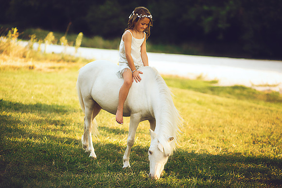 Unicorn-28