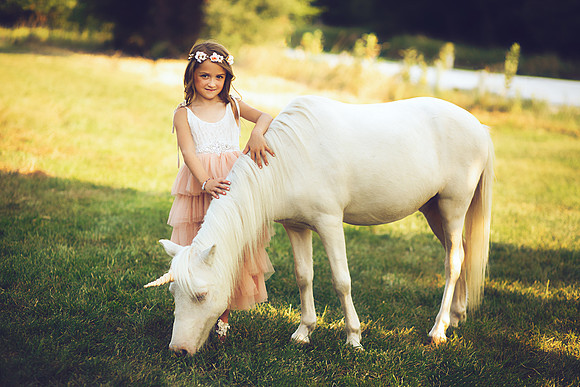 Unicorn