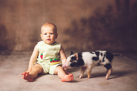 Piglet