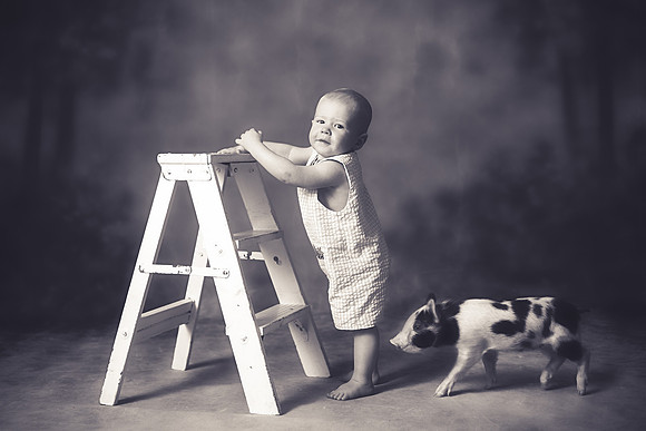 xPiglet-3