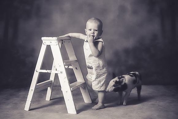 xPiglet-4