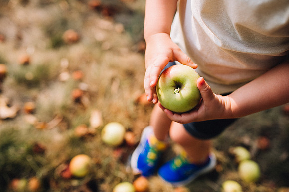 Apples-24