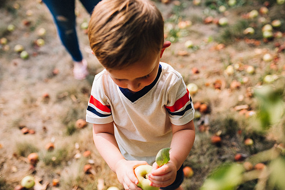 Apples-23