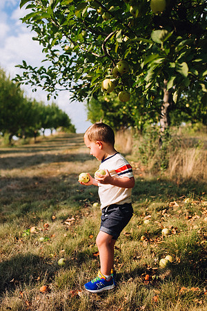 Apples-38
