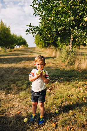 Apples-41