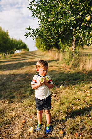 Apples-42