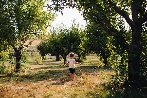 Apples-43