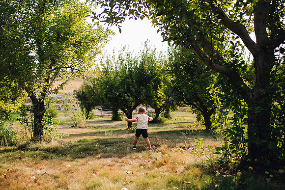 Apples-44