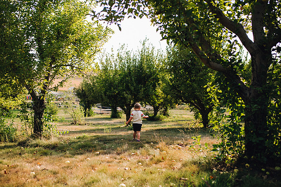 Apples-45