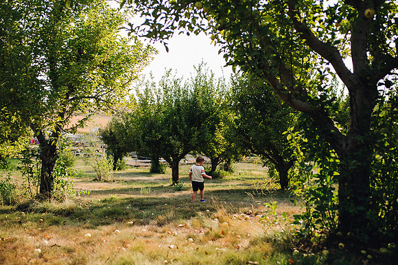 Apples-46