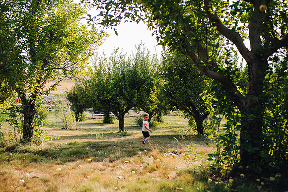 Apples-47