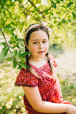 Apples-35