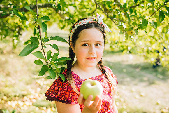 Apples-36