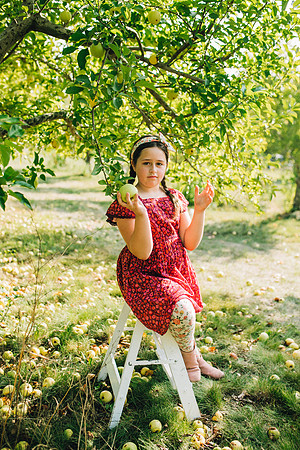 Apples-44