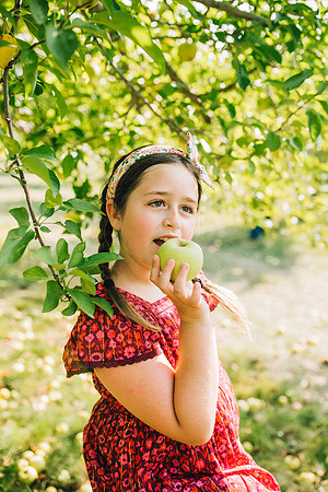 Apples-40