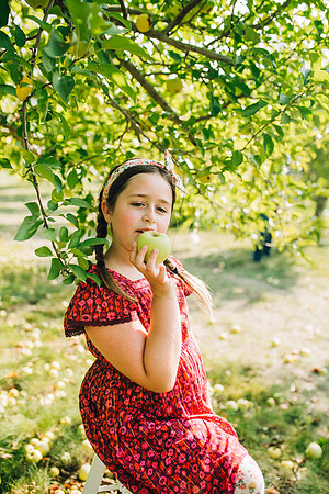 Apples-42