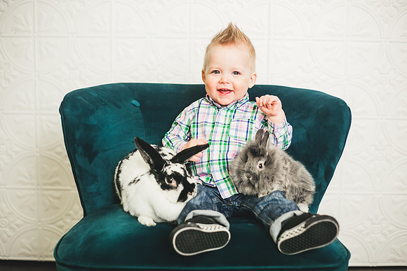 Oliver Bunnies-14