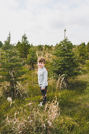 Tree Farm 2020-52