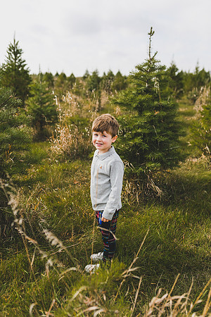 Tree Farm 2020-54