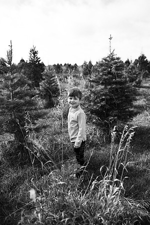 xTree Farm 2020-53