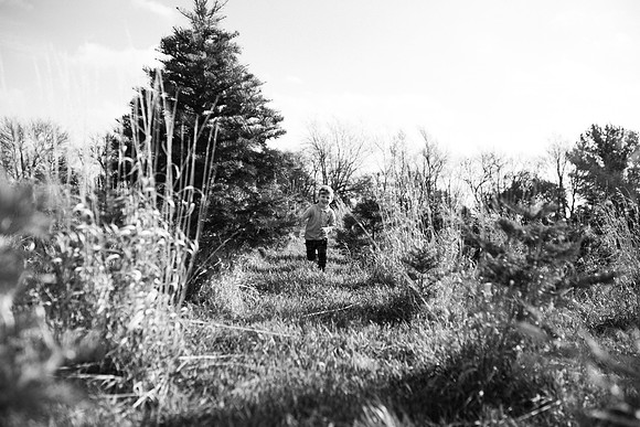 xTree Farm 2020-139