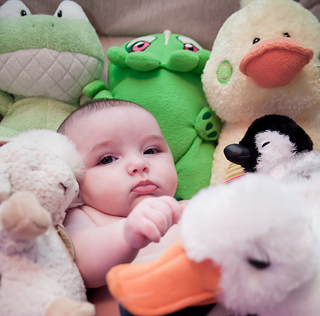 Nora 3months-38