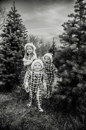 xTree Farm 2024-35