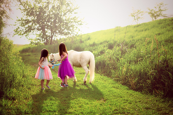 Unicorn 2019-30