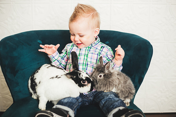 Oliver Bunnies-18