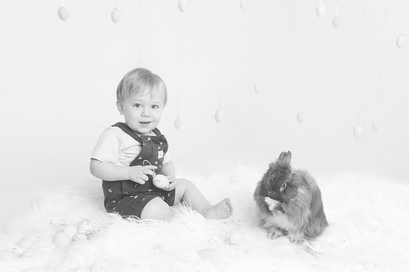 Toby-Bunny-2016-48