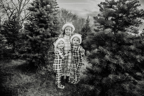 xTree Farm 2024-32