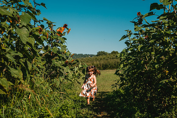 Sunflowers-24
