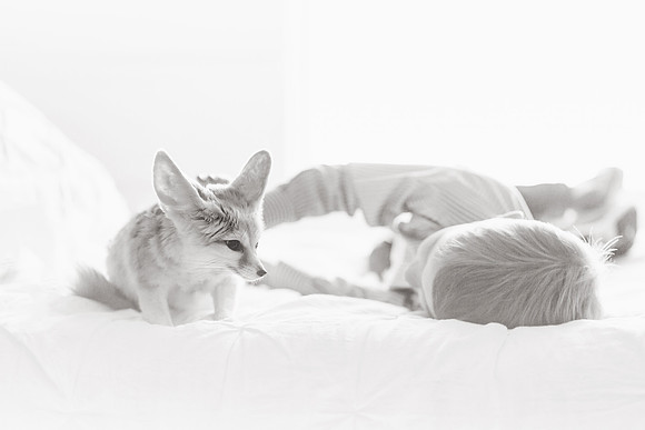 Wildlife-13bw