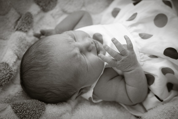 Lenora - Newborn-33