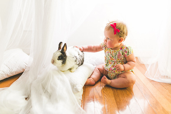 Bunnies 2019-42