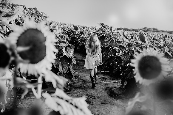 xSunflower 2022-93