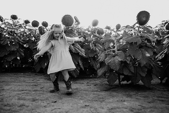 xSunflower 2022-52