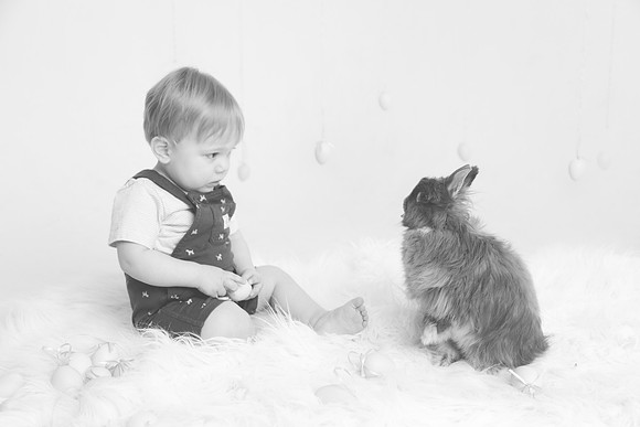 Toby-Bunny-2016-50