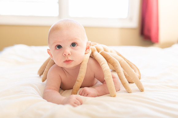 William 4mth-28