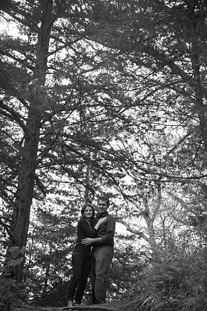 Darcy + Alex  Engage-379
