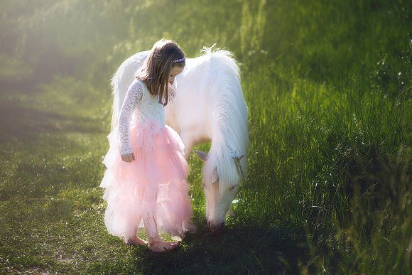 Unicorn