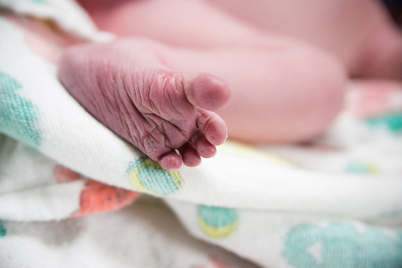 Matthew Birth-341