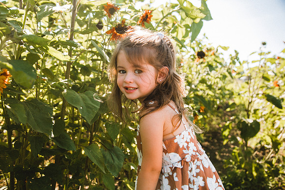Sunflowers-36