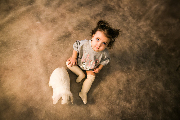 Bunnies 2019-23