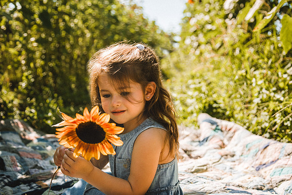 Sunflowers-47