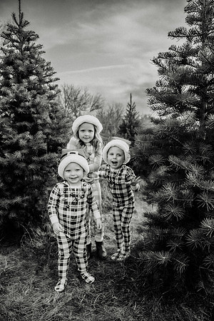 xTree Farm 2024-34
