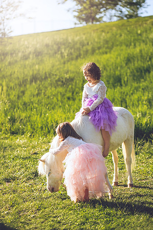 Unicorn-26