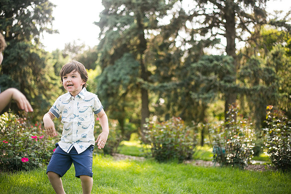 Fireflies 2019-24