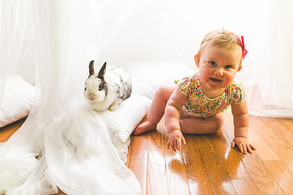 Bunnies 2019-45