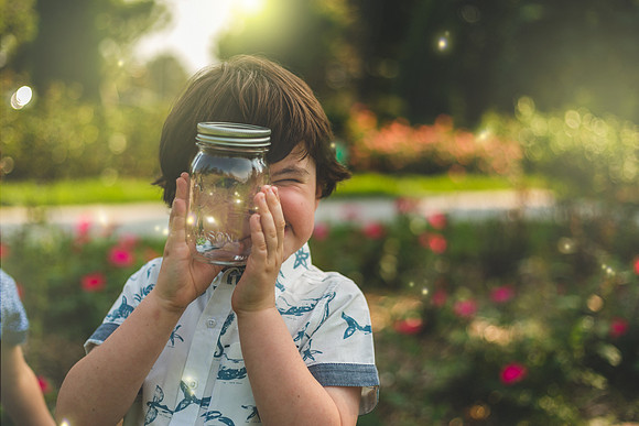Fireflies 2019-45